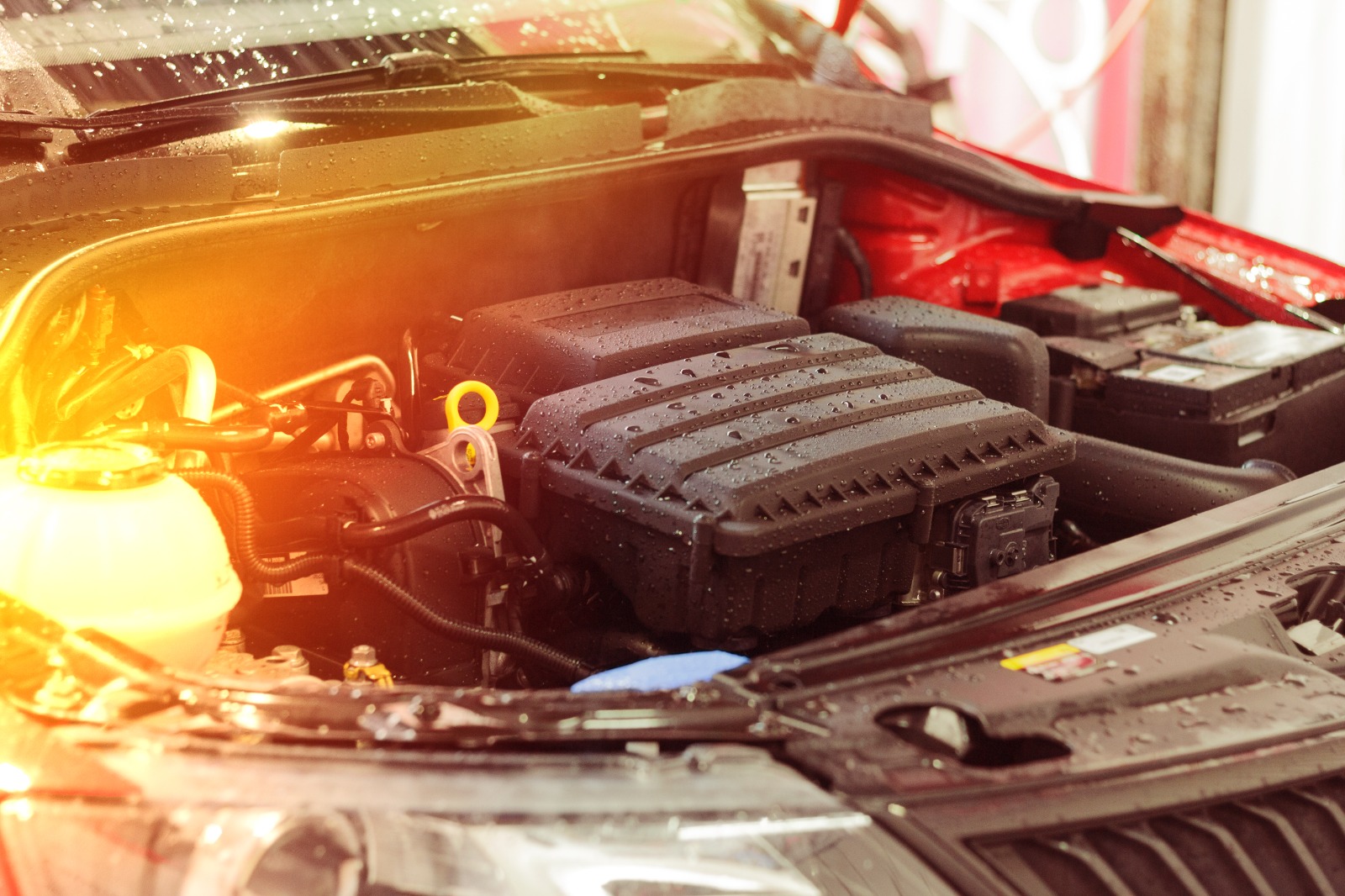 Professionele motorreiniging